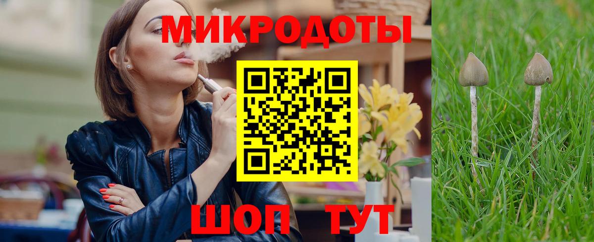 Псилоцибиновые грибы Psilocybine cubensis Россошь